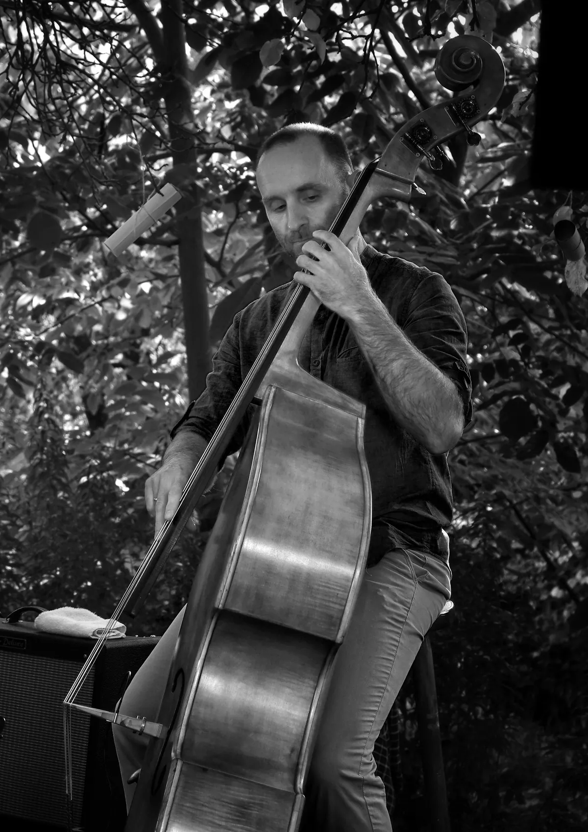 Fot. Jan Noszczyk